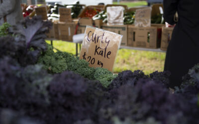 Farmer’s Markets: A powerful remedy for environment and health