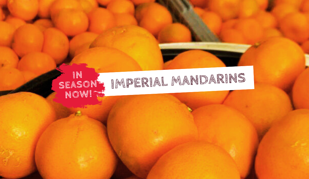 In season now - Imperial Mandarins