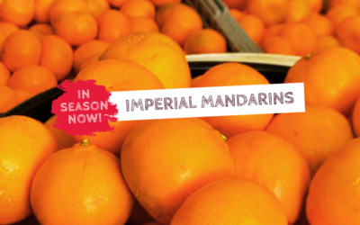 In Season Now – Imperial Mandarins