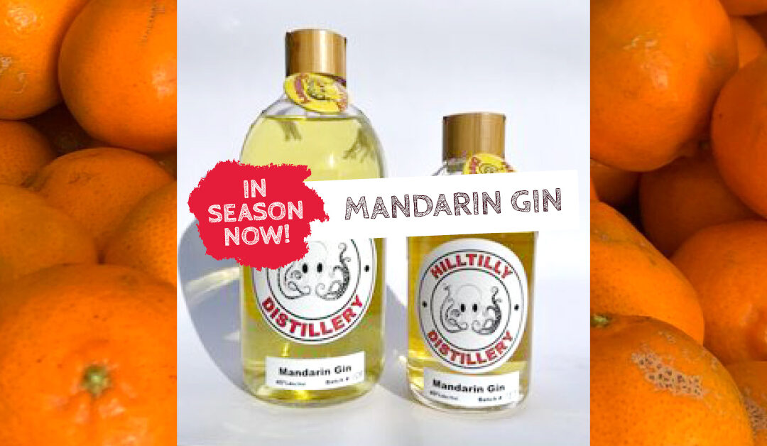 In Season Now – HillTilly Mandarin Gin