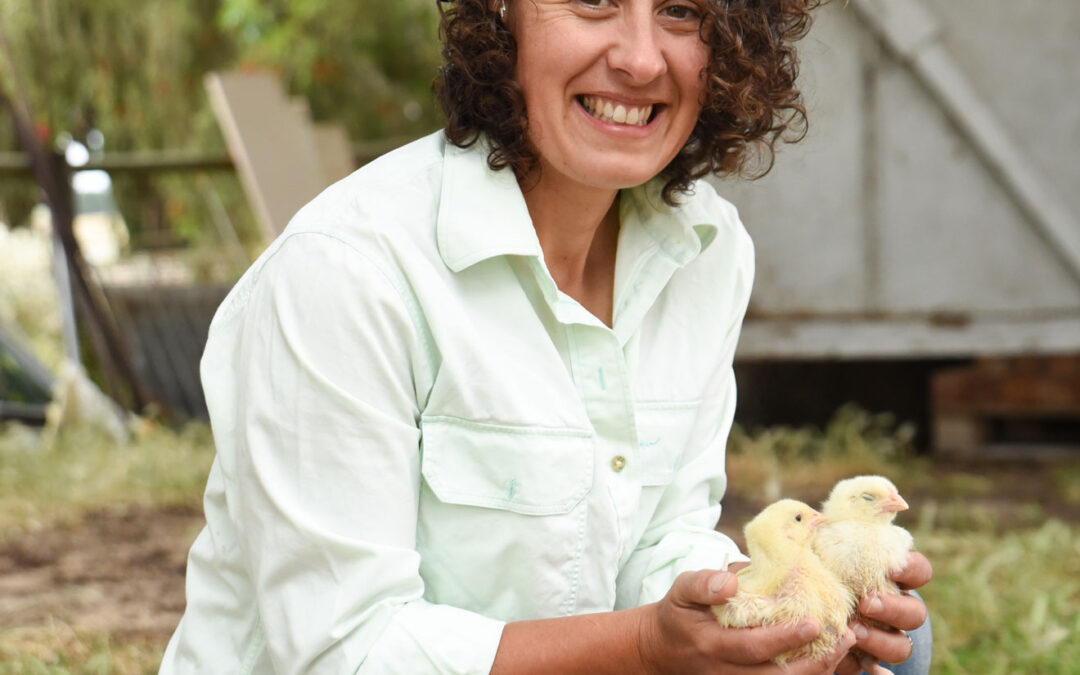 The Story of Lowan Park Produce Poultry Farm: A Journey Back to the Farm